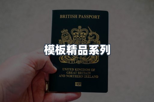 模板精品系列